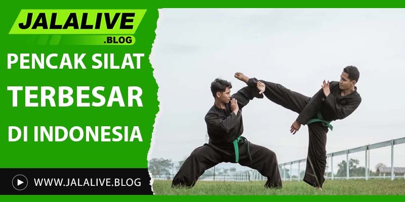 Pencak Silat Terbesar di Indonesia: Sejarah, Perguruan, dan Pengaruhnya dalam Budaya Nasional