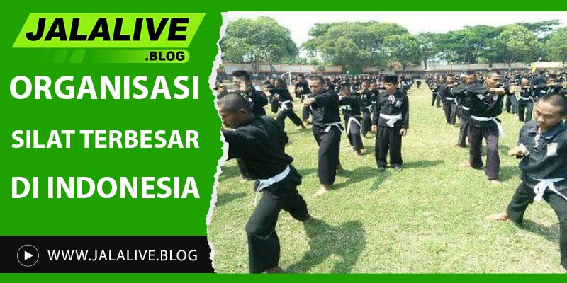 Organisasi Silat Terbesar di Indonesia: Menjaga Tradisi dan Memajukan Olahraga Bela Diri